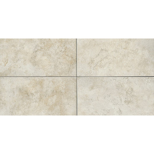 Daltile Choice 12" x 24" Matte