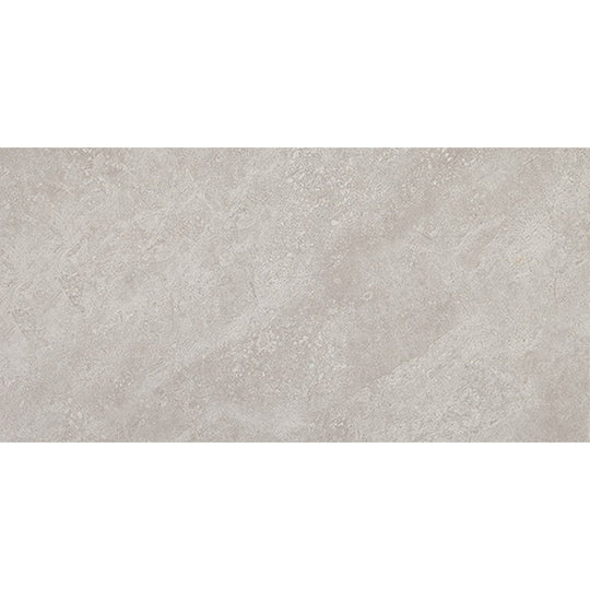 Daltile Choice 12" x 24" Matte