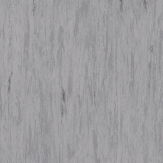 Tarkett 24" x 24" Standard Plus Homogeneous Vinyl Tile 2mil