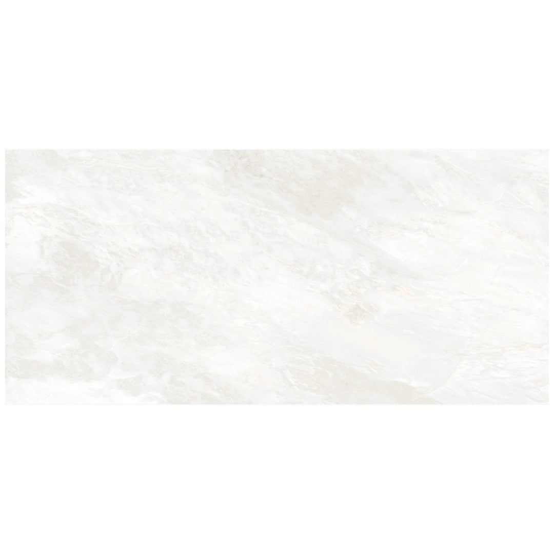 Bedrosians Magnifica ERA 24" x 48" Polished Porcelain Tile