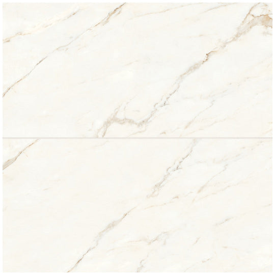 Bedrosians Magnifica ERA 12" x 24" Honed Porcelain Tile