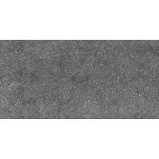 Daltile Diplomacy 24" x 48" Rectified Matte Porcelain Floor Tile