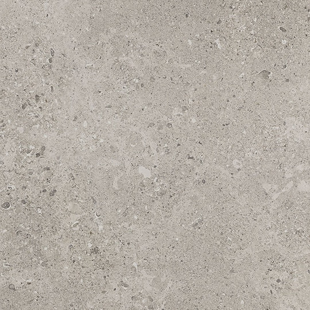 Daltile-Dignitary-24-x-24-Rectified-Matte-Porcelain-Floor-Tile-Eminence-Grey