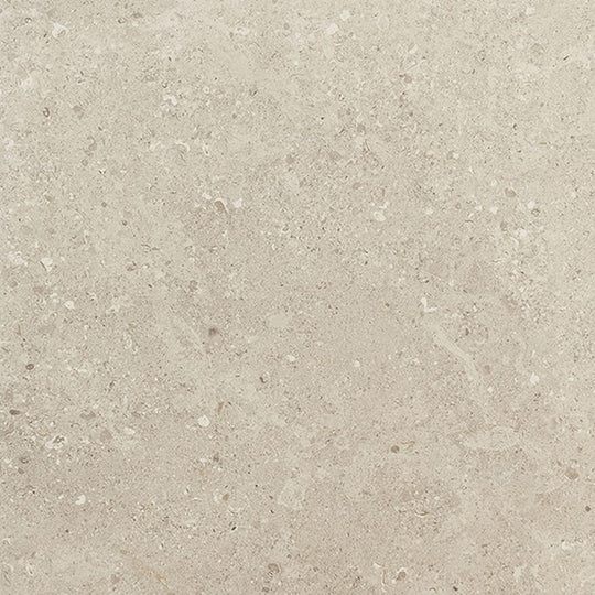 Daltile-Dignitary-24-x-24-Rectified-Matte-Porcelain-Floor-Tile-Governor-Black