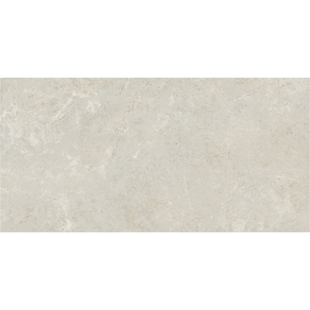 Daltile Florentine 12" x 24" Matte