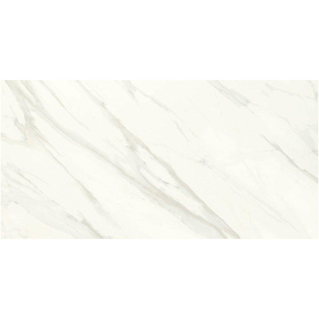 Daltile Florentine 12" x 24" Matte