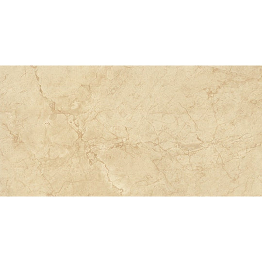 Daltile Florentine 12" x 24" Matte