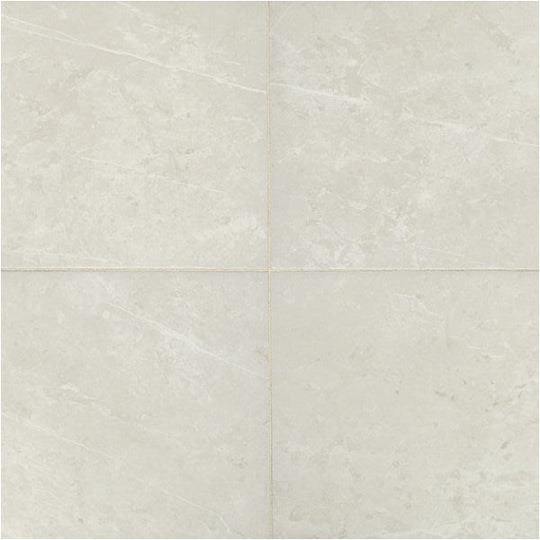 Daltile Prime 12" x 12" Matte