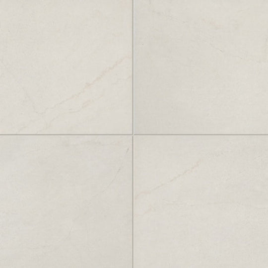 Daltile Prime 12" x 12" Matte