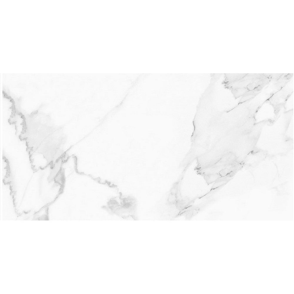 Tesoro 24" x 48" Vintage Rectified Matte Porcelain Tile