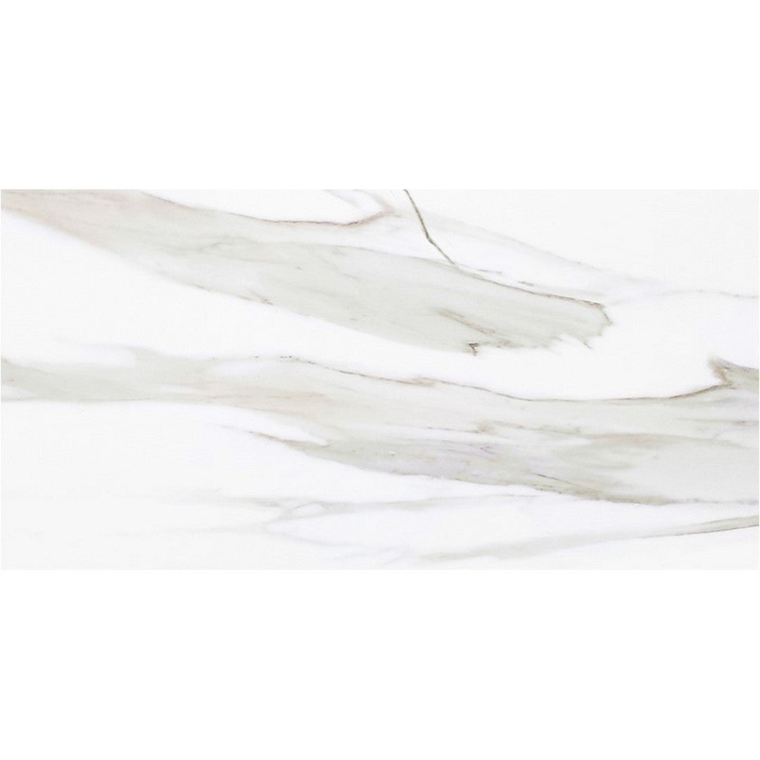Tesoro 24" x 48" Vintage Rectified Matte Porcelain Tile