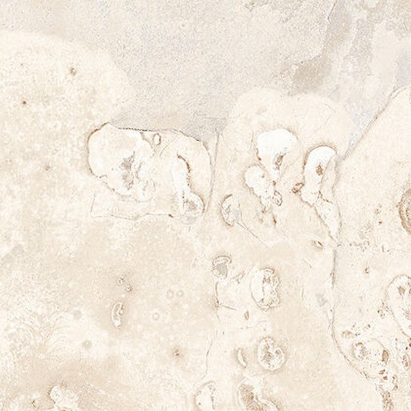 Edimax Astor 12" x 12" Slaty Natural Porcelain Tile