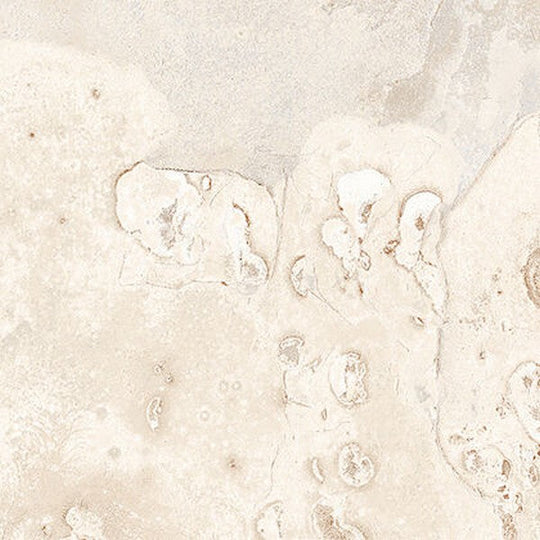 Edimax Astor 12" x 12" Slaty Natural Porcelain Tile