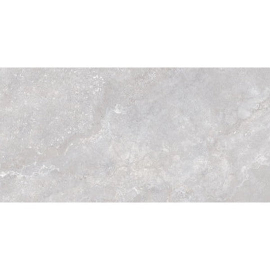 Edimax Astor 24" x 48" Stream Natural Porcelain Tile