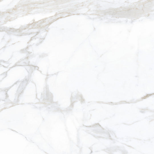 Tesoro 24" x 24" Lucca Rectified Polished Porcelain Tile