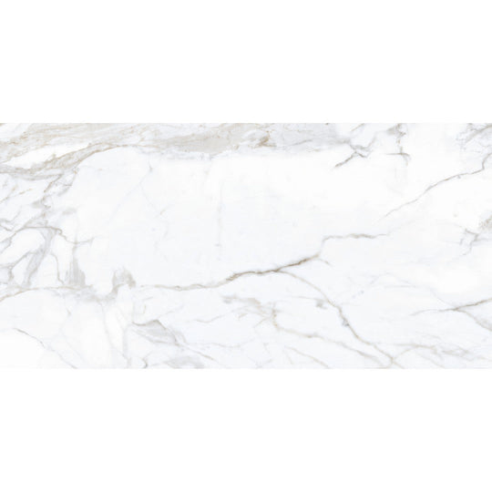 Tesoro 24" x 48" Lucca Rectified Polished Porcelain Tile