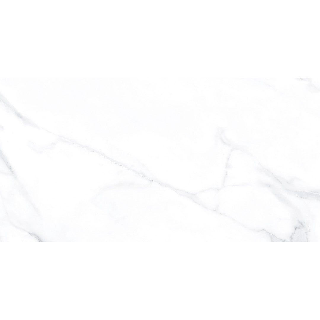 Tesoro 12" x 24" Lucca Rectified Matte Porcelain Tile