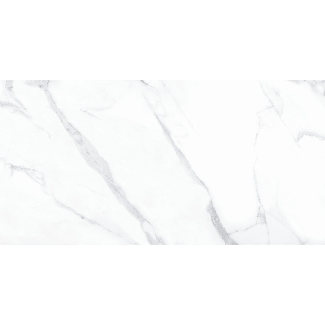 Tesoro 24" x 48" Lucca Rectified Polished Porcelain Tile