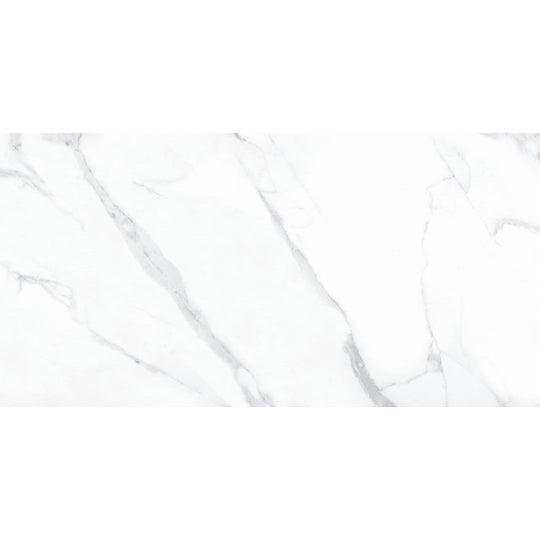 Tesoro 24" x 48" Lucca Rectified Polished Porcelain Tile