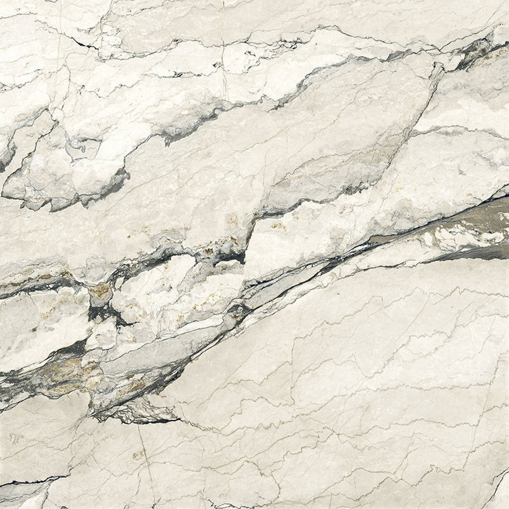 Happy Floors 48" x 48" Breccia Lunare Rectified Matte Porcelain Tile