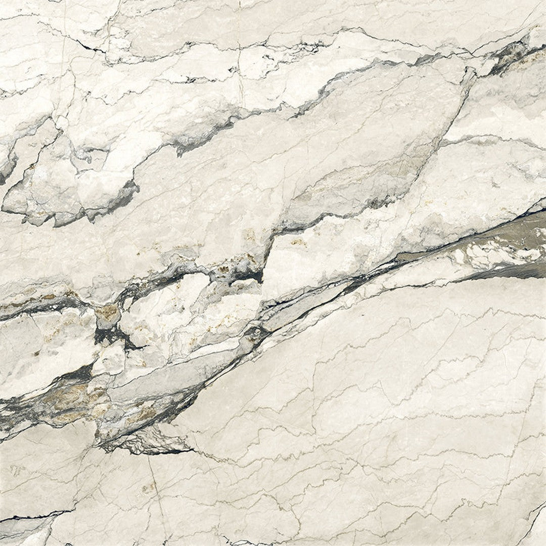 Happy Floors 48" x 48" Breccia Lunare Rectified Matte Porcelain Tile