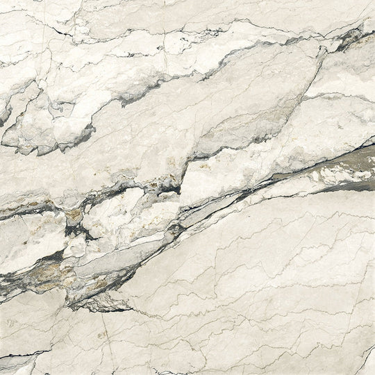 Happy Floors 48" x 48" Breccia Lunare Rectified Matte Porcelain Tile