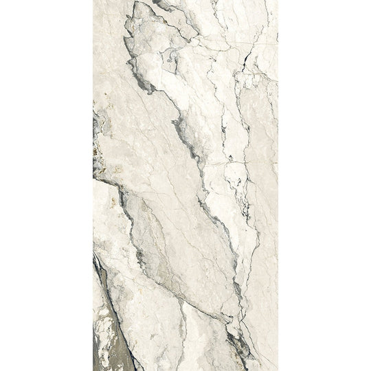 Happy Floors 24" x 48" Breccia Lunare Rectified Matte Porcelain Tile