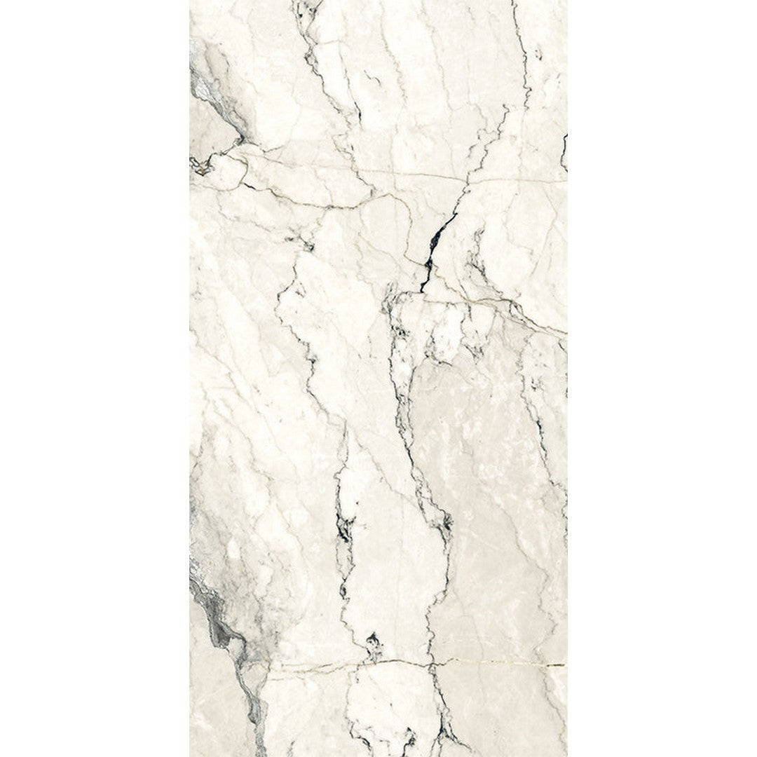 Happy Floors 12" x 24" Breccia Lunare Rectified Matte Porcelain Tile