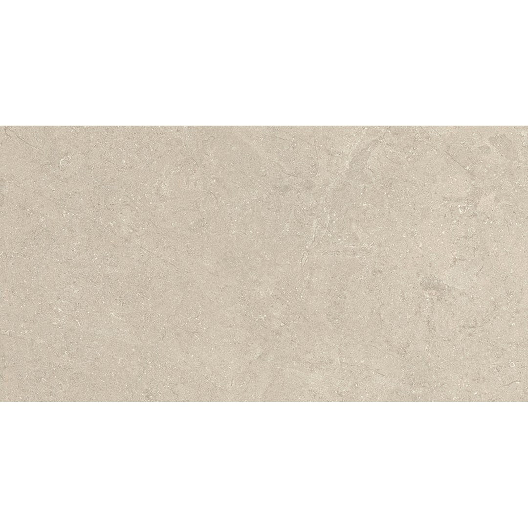 Euroker 24" x 48" Next Rectified Matte Porcelain Tile