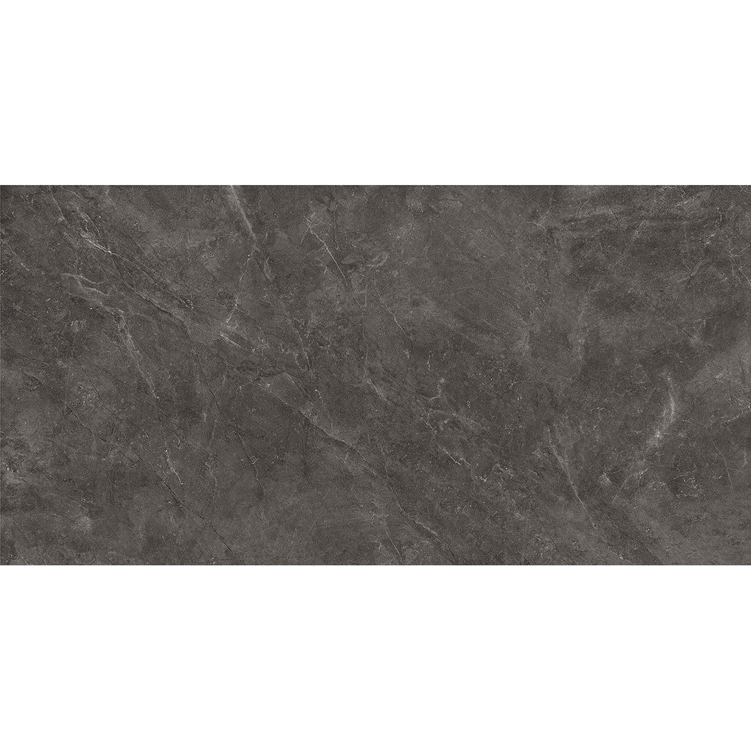 Euroker-Bayona-24-x-48-Rectified-Matte-Porcelain-Tile-Silver