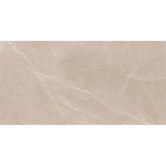 Euroker 24" x 48" Bayona Rectified Matte Porcelain Tile
