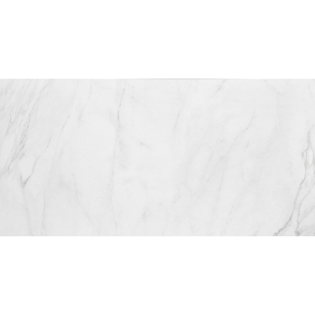 Ottimo Evoque 30" x 60" Matte Porcelain Tile