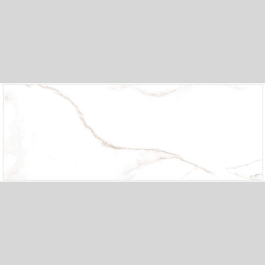 Emser 12" x 24" Sculpture Pressed Matte Porcelain Tile