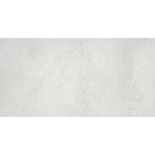 Emser Realm Ii 12" x 24" Matte Porcelain Tile