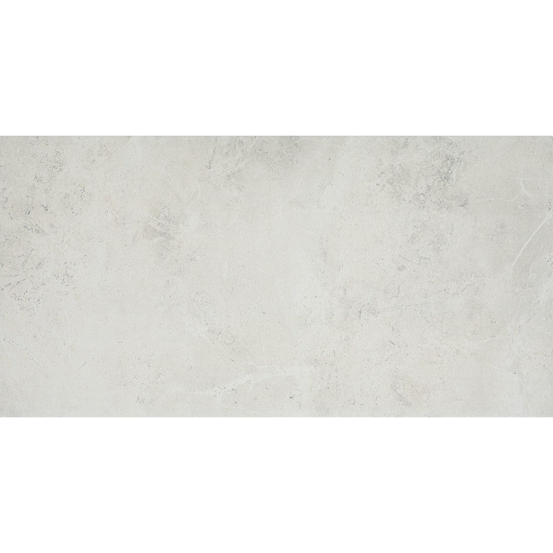 Emser Realm Ii 12" x 24" Matte Porcelain Tile