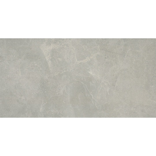 Emser Realm Ii 12" x 24" Matte Porcelain Tile