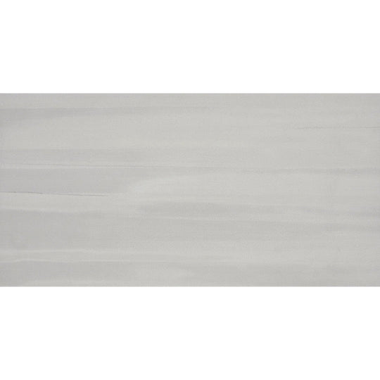 Emser Silhouette 12" x 24" Matte Porcelain Tile