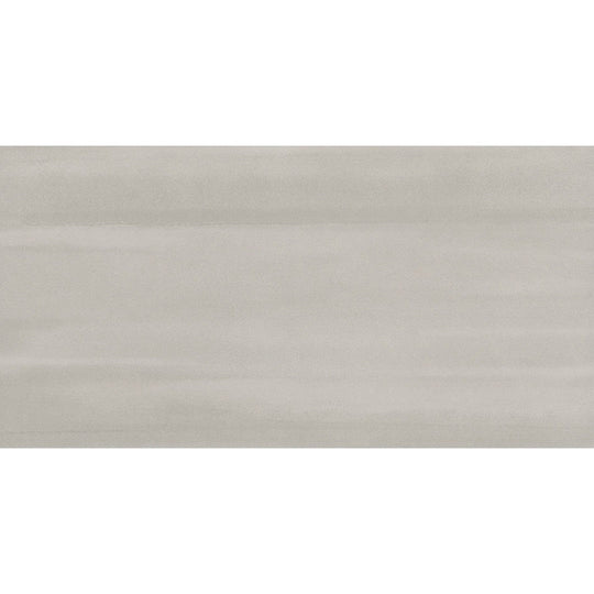 Emser Silhouette 12" x 24" Matte Porcelain Tile