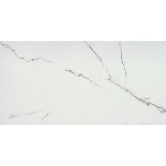 Emser Serendra 12" x 24" Polished Porcelain Tile