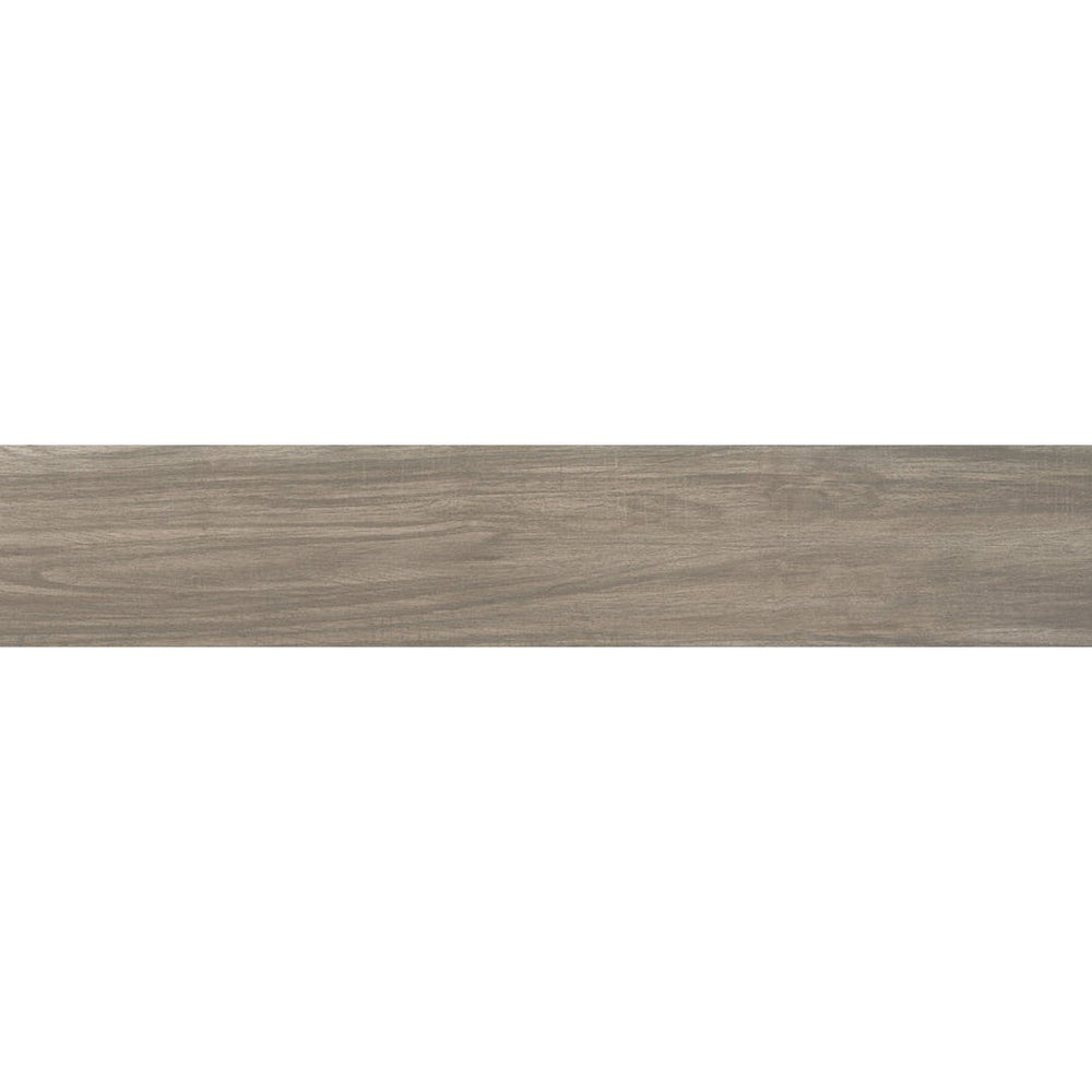 Emser Victus 8" x 48" Matte Porcelain Plank