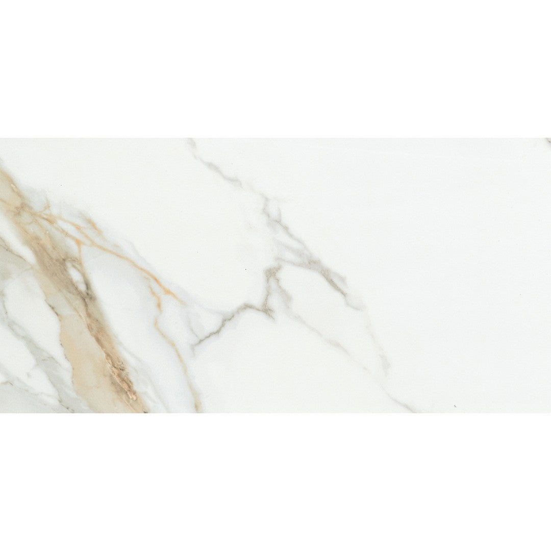 Emser Tile 12" x 24" Duchessa Rectified Matte Porcelain Tile