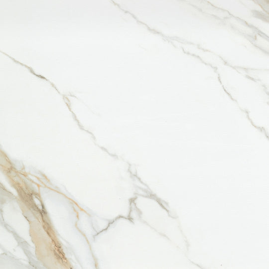 Emser Tile 24" x 24" Duchessa Rectified Matte Porcelain Tile