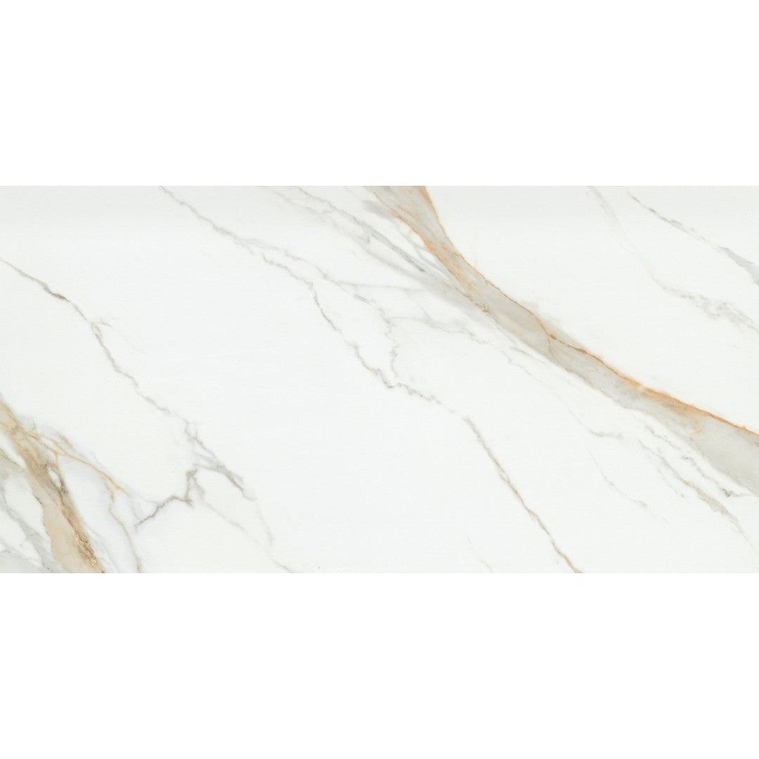 Emser Tile 24" x 47" Duchessa Rectified Matte Porcelain Tile