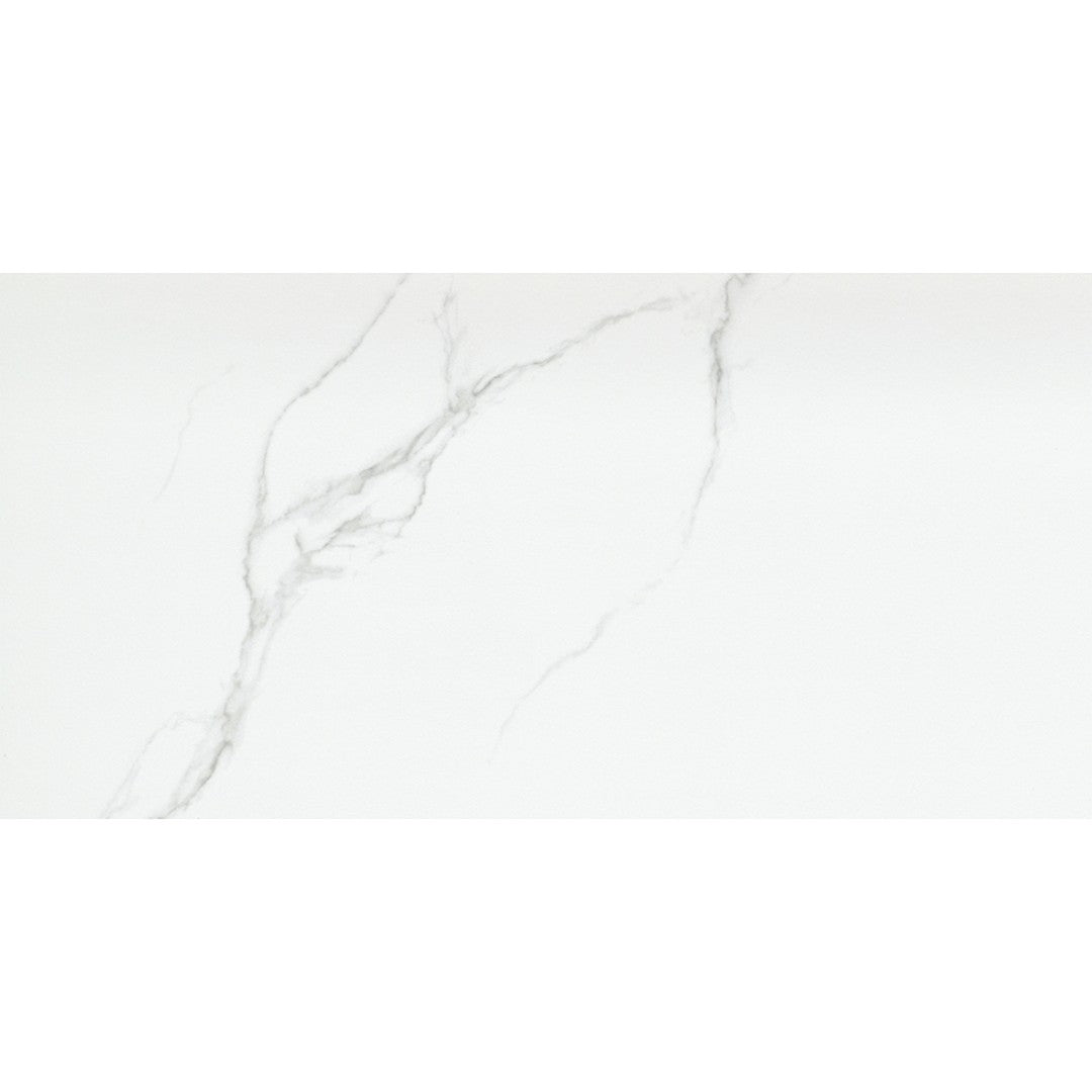 Emser Tile 12" x 24" Duchessa Rectified Matte Porcelain Tile
