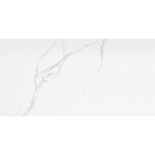 Emser Tile 12" x 24" Duchessa Rectified Matte Porcelain Tile