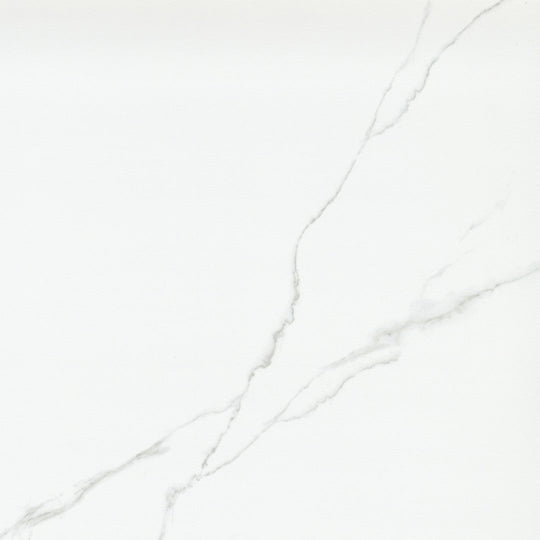 Emser Tile 24" x 24" Duchessa Rectified Polished Porcelain Tile