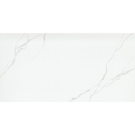 Emser Tile 24" x 47" Duchessa Rectified Matte Porcelain Tile