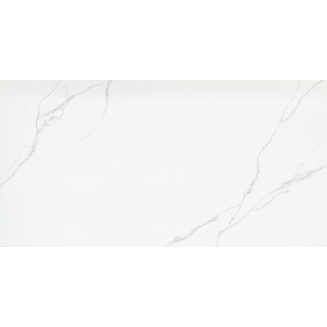 Emser Tile 24" x 47" Duchessa Rectified Polished Porcelain Tile