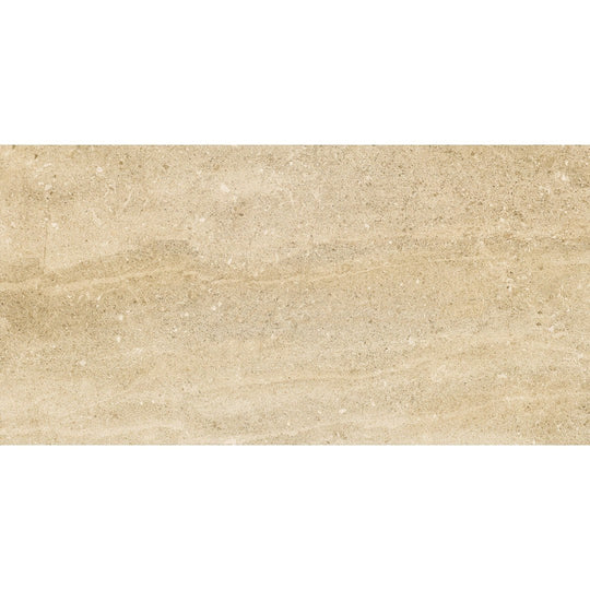 Emser Potenza 12" x 24" Matte Porcelain Tile