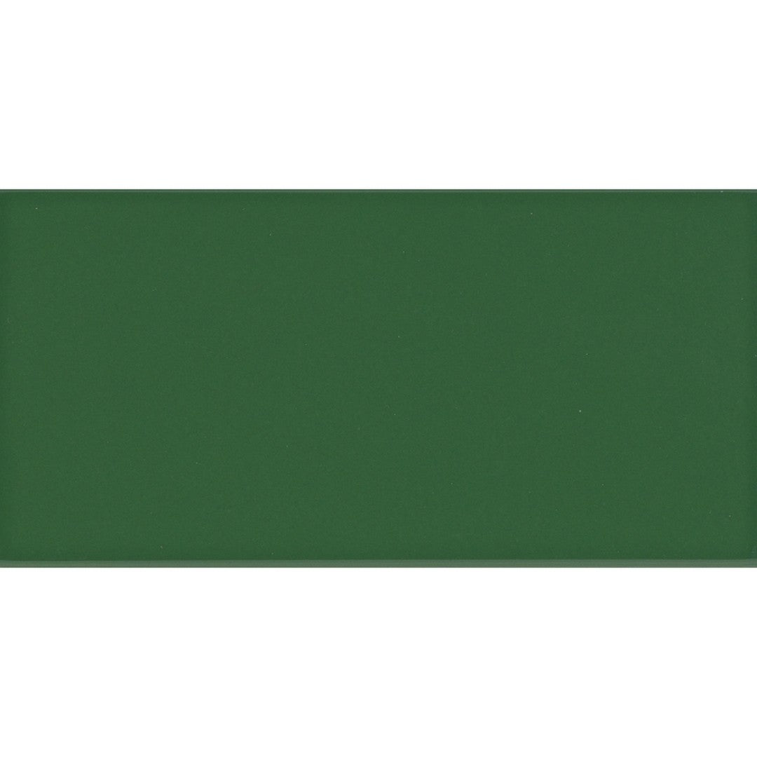 Emser 3" x 6" Catch Glossy Pressed Ceramic Tile
